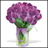 20 Purple Tulips - Fresh Cut Tulips