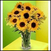 Glorious Sunflower Bouquet - Fresh Flowers
