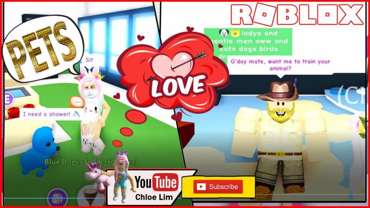 Working Codes For Adopt Me On Roblox 2019